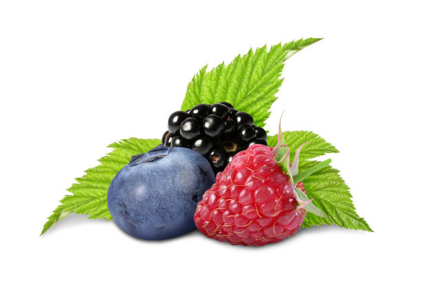 istock Different fresh ripe berries and green leaves isolated on white 1806179925