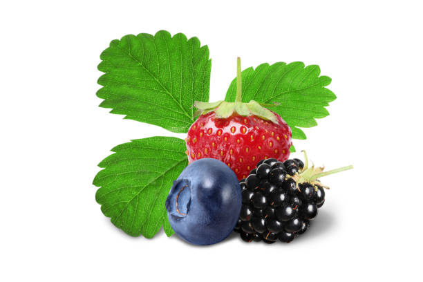 Different fresh ripe berries and green leaves isolated on white