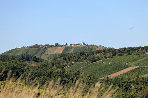 View of the Michaelsberg near Cleebronn