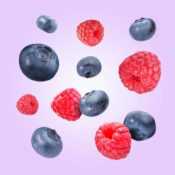 frische reife heidelbeeren und himbeeren, die auf violetten hintergrund fallen - falling fruit berry fruit raspberry stock-fotos und bilder
