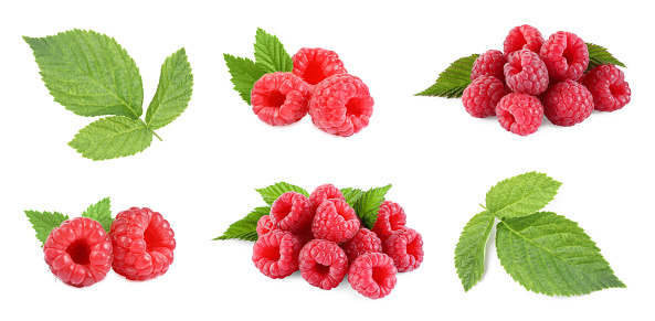 Fresh ripe raspberries and green leaves isolated on white, set