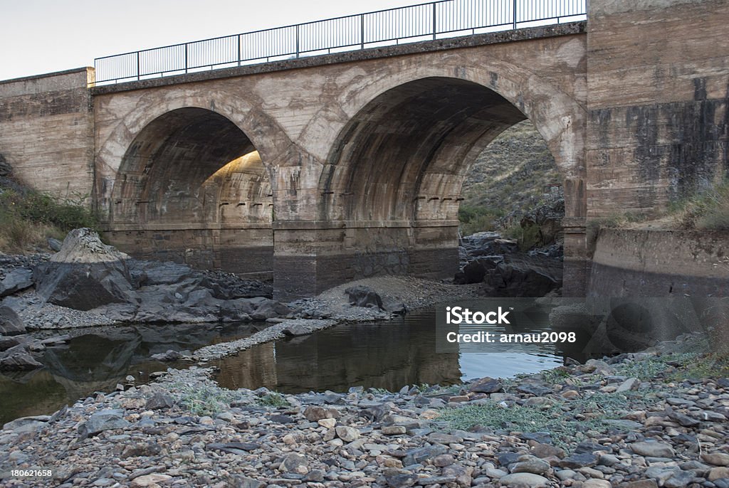 Tajo fiume - Foto stock royalty-free di Albero