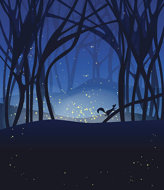 Night magic scene with fireflies Night magic scene with fireflies and running squirrel. EPS10 longhorn beetle stock illustrations