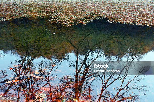 Hermoso Lago En El Bosque De Otoño Foto de stock y más banco de imágenes de Agua - Agua, Aire libre, Amarillo - Color