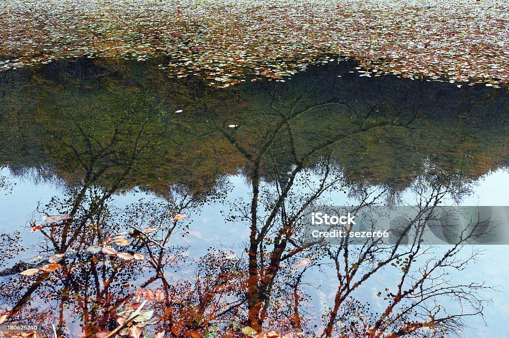 Красивое Озеро в Осенний лес - Стоковые фото Без людей роялти-фри