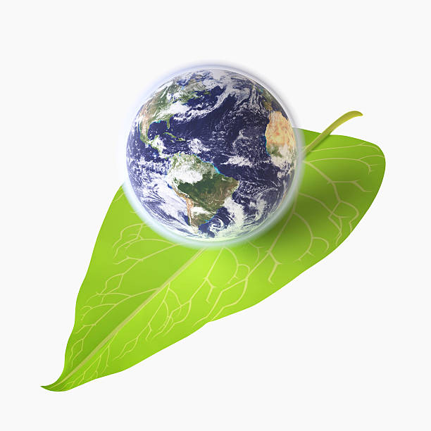 Earth on Green Leaf stock photo