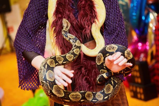 istock A snake on a man. Exotic animals in the house. 1806260539