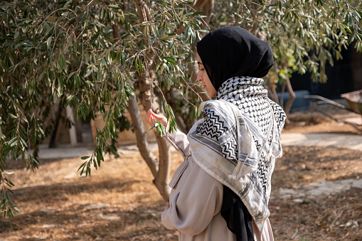Female holding branch of olive tree while wearing palestinian keffiyeh in the field