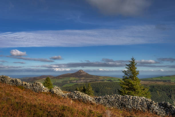 istock View on Sugarloaf Mountain through pine trees and stone wall, Wicklow Mountains, Ireland 1806270526