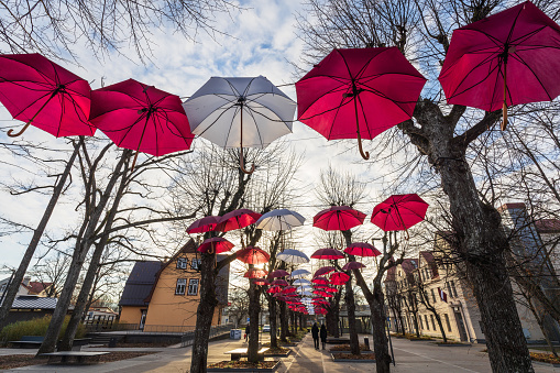 Ogre, Latvia - November 19, 2023: Central Brivibas Street is decorated in the colors of the Latvian flag with red and white umbrellas