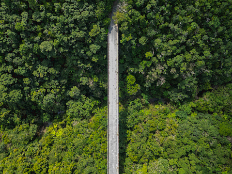 nagao bridge at yanbaru rainforest in northern okinawa island, japan. drone point of view.