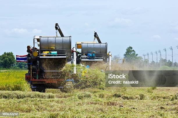 Raccogliere Auto Nel Campo Di Riso - Fotografie stock e altre immagini di Agricoltura - Agricoltura, Ambientazione esterna, Attrezzatura