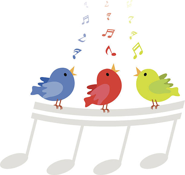 Colorful singing birds cartoon Vector illustration of three little birds singing happily with musical notes. bluebird bird stock illustrations