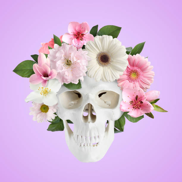 istock White skull with flower wreath on violet background 1806324690