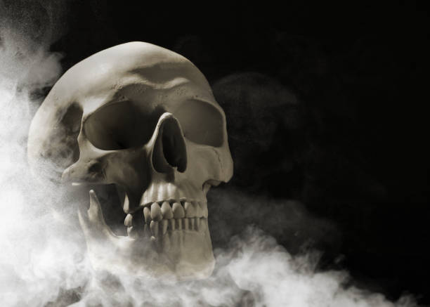 istock Scary skull emerging from smoke in darkness 1806324691