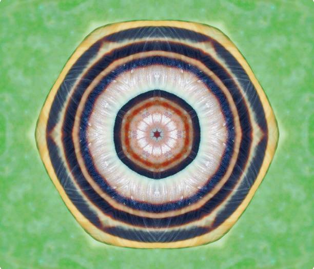 istock kaleidoscopic fractals for backgrouds and design 1806326868