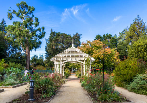 istock Elizabeth F. Gamble Garden, California 1806328041