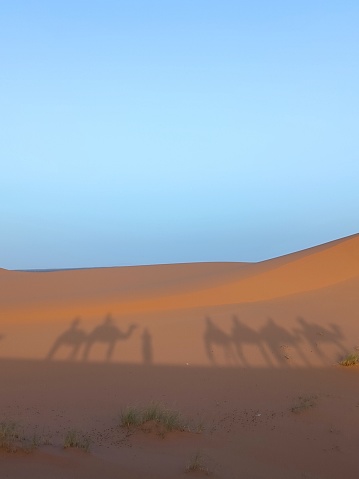 Sombras de dromedarios y personas en la arena de las dunas de Merzouga.