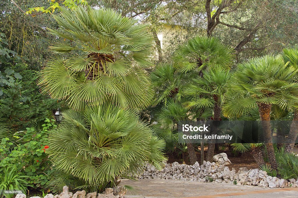 Wunderschöne Mallorca - Lizenzfrei Aussicht genießen Stock-Foto