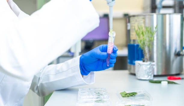 istock Female researcher developing new bio pharmacy medicine from the nature, concept of develop pills 1806367758