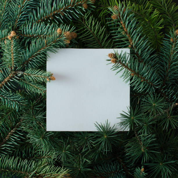 istock Creative layout made of Christmas tree branches with paper card note. Flat lay. Nature New Year concept. 1806387731