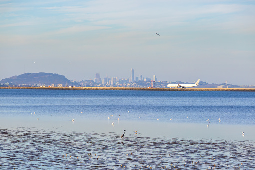 San Francisco Skyline and San Francisco International Airport (SFO) viewed from Bayside Park in Burlingame, California, at sunset