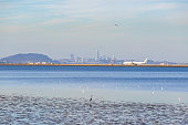 San Francisco Skyline and San Francisco International Airport (SFO) viewed from Bayside Park in Burlingame, California