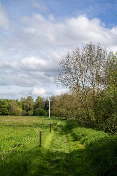 istock Green field and walk path through a country farm 1806400983