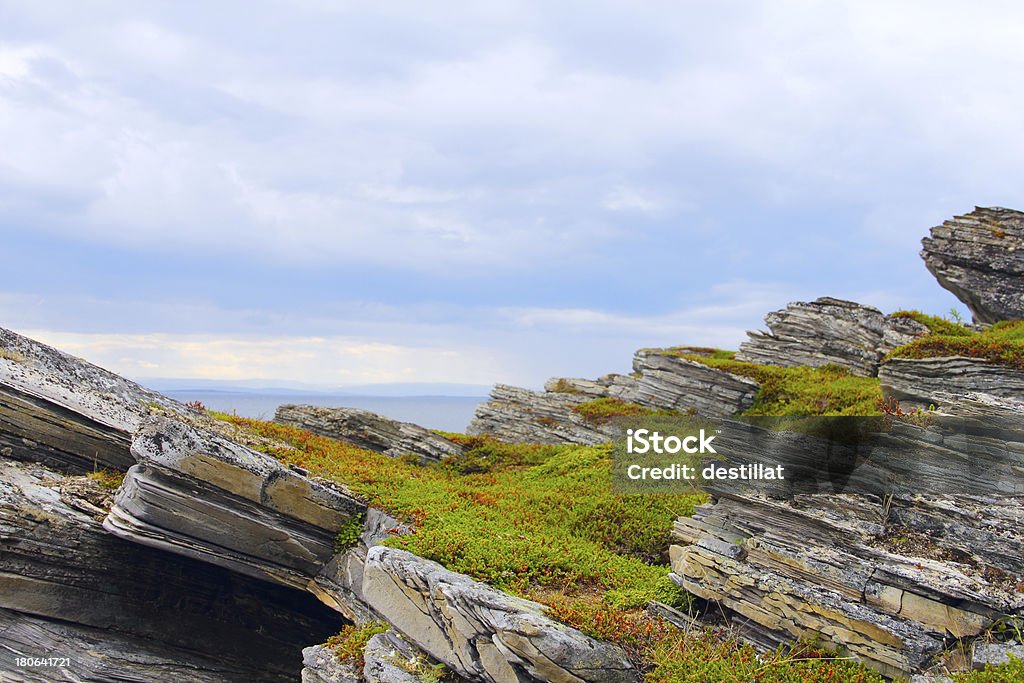 Nord paesaggio norvegese - Foto stock royalty-free di Acqua