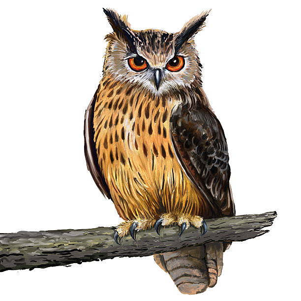 eagle owl - palette knife painting stock illustrations