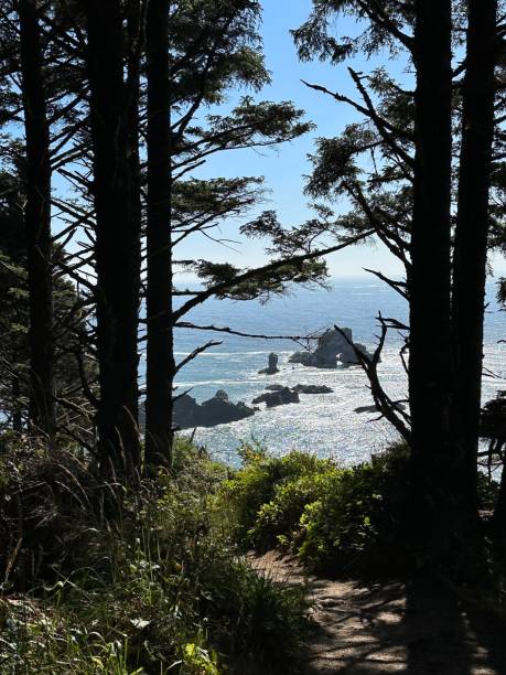 istock Pacific coast at Ecola State Park, Oregon, USA 1806432421