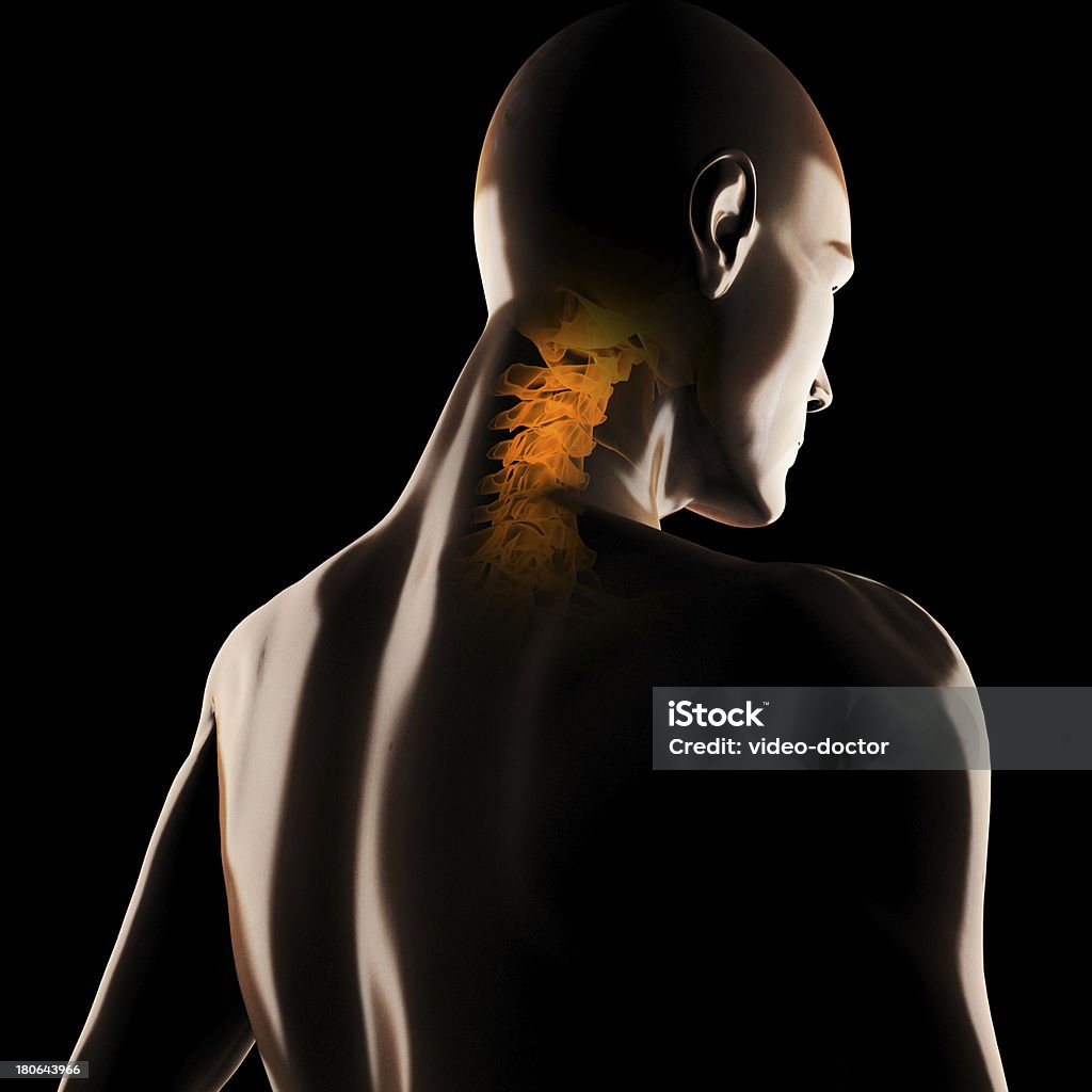 Menschliche radiography scan - Lizenzfrei Anatomie Stock-Foto