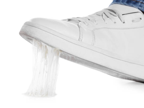 istock Person stepping into chewing gum on white background, closeup 1806452364