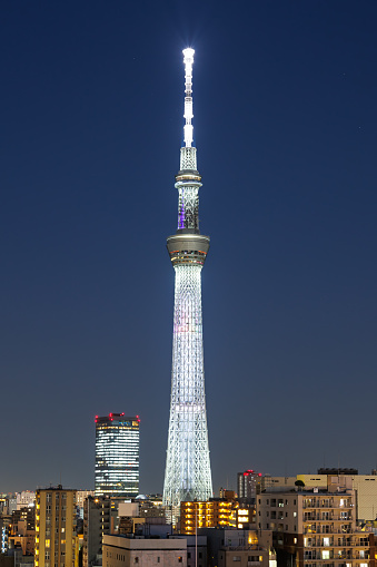 Tokyo SkyTree tower with skyline at twilight portrait format city in Japan