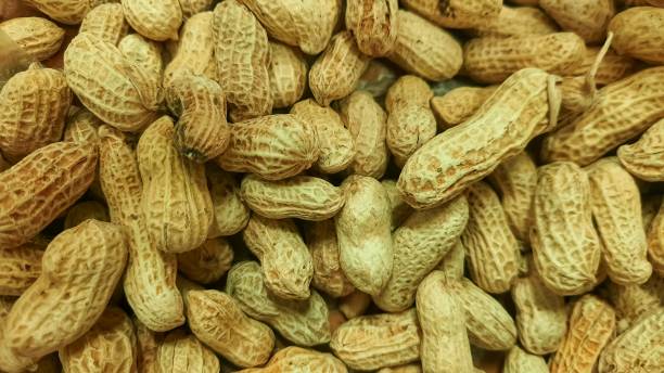 istock Dried peanuts. Tasty groundnuts. Texture. Top view. 1806477994