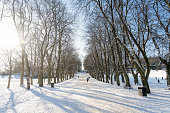 Sunny day with snow in the park