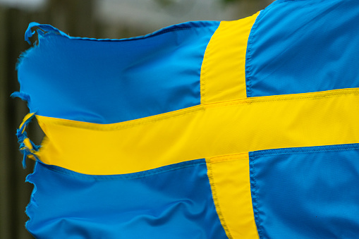 Swedish flag blowing in hard wind.