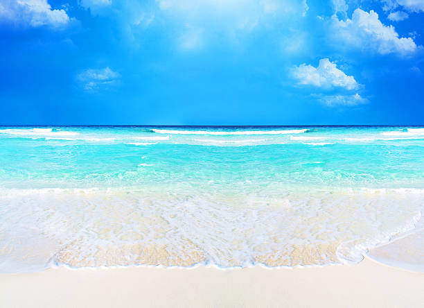 istock beach and tropical sea background 180649685