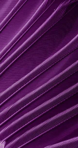 istock violet feather pigeon macro photo. texture or background 1806508226