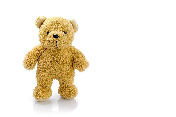 standing bears toy stock photo