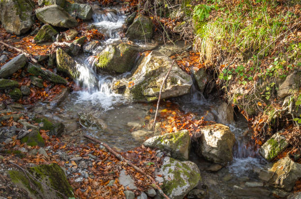 Mountain stream in early winter