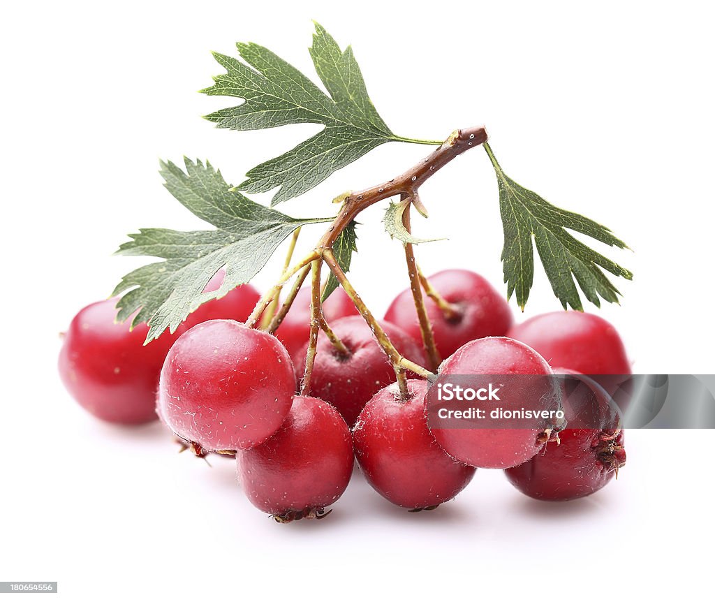 Hawthorn con hojas - Foto de stock de Alimento libre de derechos