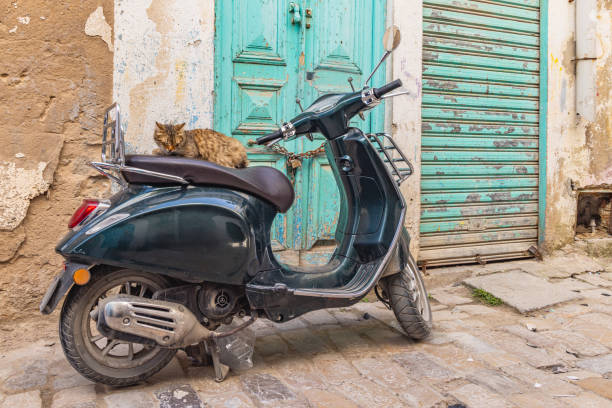 istock Cat napping on a scooter near the Tunis Souk. 1806565081