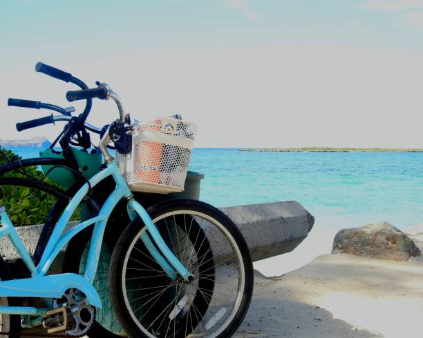 Young black couple with bikes at Venice beach, Los Angeles, California, USA.