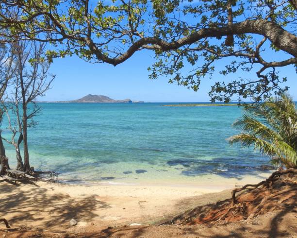 istock Beach View of Kailua Hawaii 1806588561