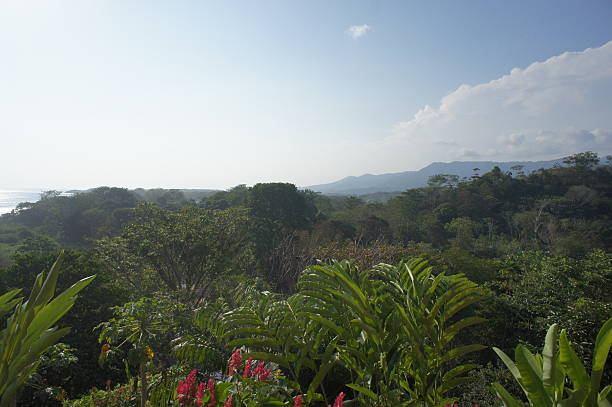 istock Impressions from Costa Rica 180659525