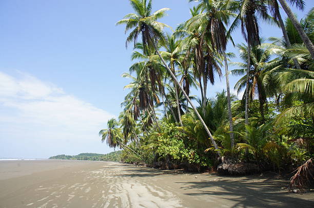 istock Impressions from Costa Rica 180659553