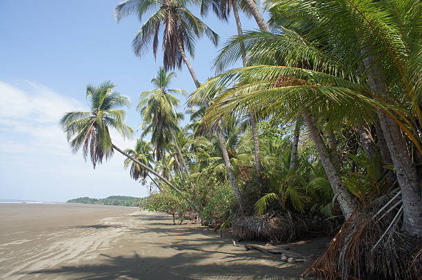 istock Impressions from Costa Rica 180659554