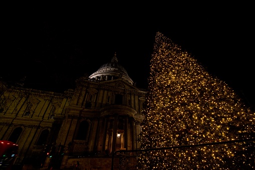 Christmas Tree in front of St Paul Cathedral by night