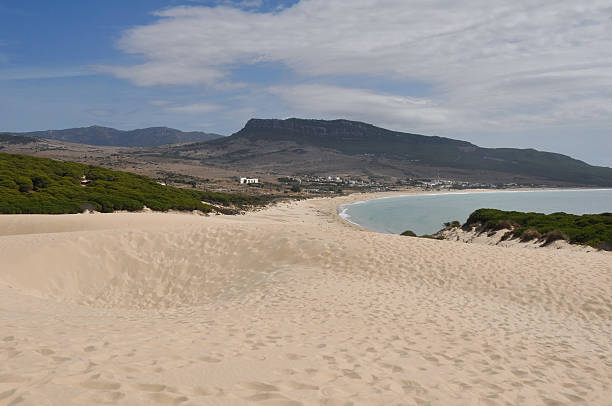 istock Sand dune of Bolonia beach, Tarifa (Spain) 180663220